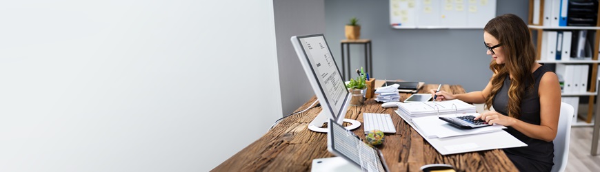 Ergonomía y diseño intuitivo en software de contabilidad