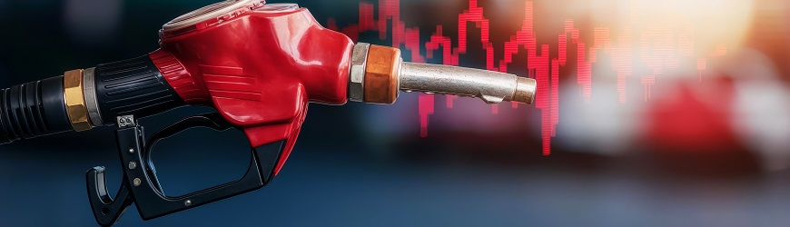maximinzar el ahorro con las tarjetas de gasolina