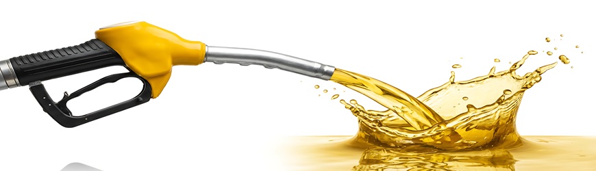 Tarjetas de Gasolina para Empresas Tarjetas de Gasolina para Empresas